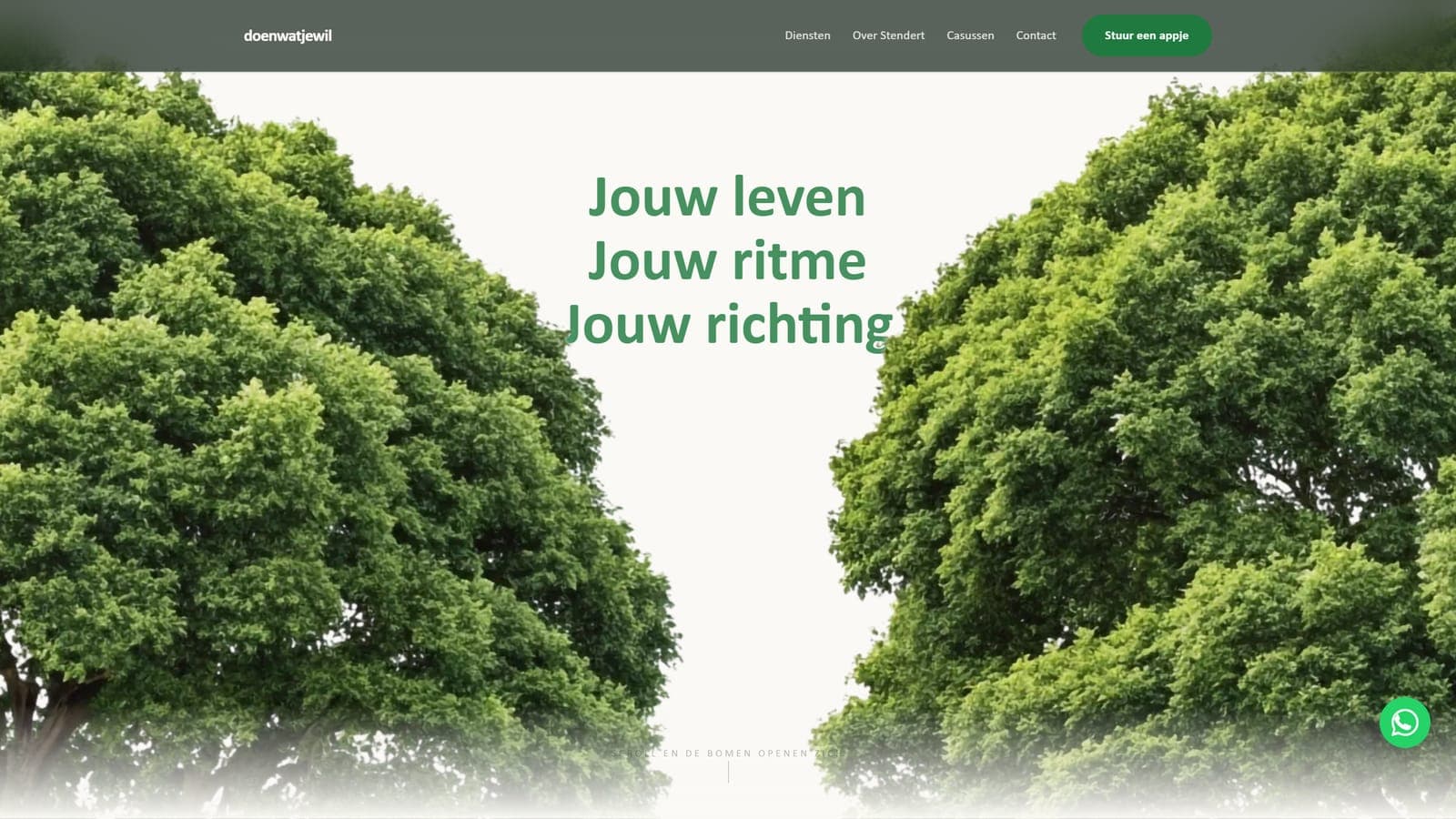 Website gemaakt voor Doenwatjewil